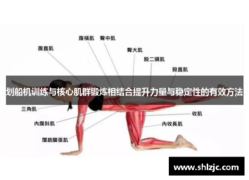 划船机训练与核心肌群锻炼相结合提升力量与稳定性的有效方法