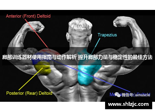 肩部训练器材使用指南与动作解析 提升肩部力量与稳定性的最佳方法