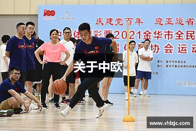 关于中欧